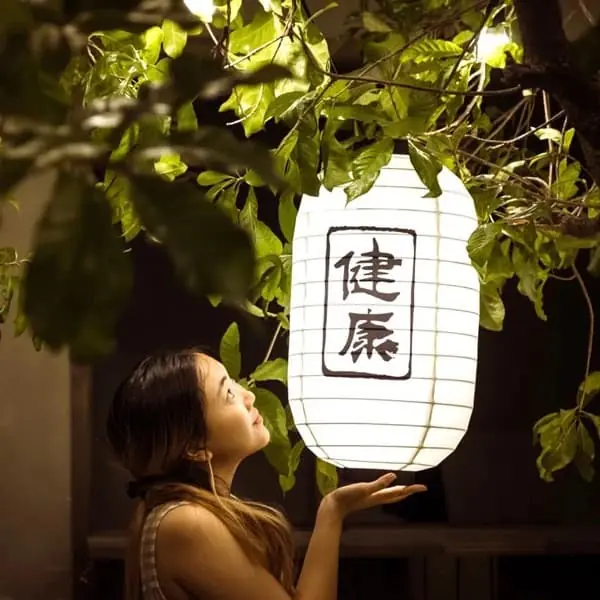 Đèn kiểu Nhật Bản DL849339 — đèn khách sạn Việt Nam | LongDenViet