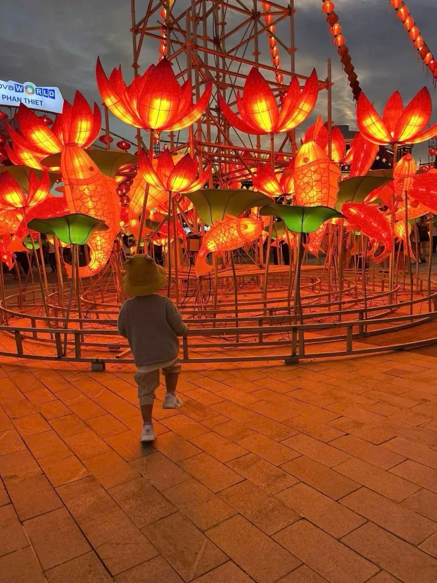 Hoa Lồng Đèn Hội An — 15 Mẫu Đẹp Nhất 2025